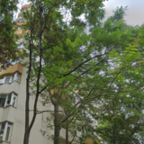 Pantelimon, Gara de Est, 5 min Lidl si Magazinele Marius